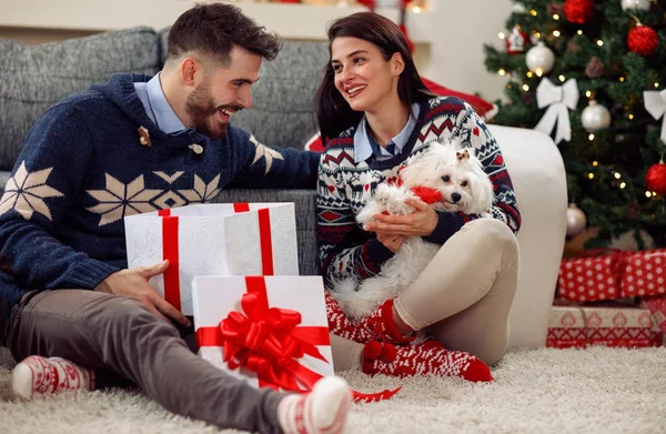 Weihnachtszeit - Mädchen bekommt Welpen zu Weihnachten — Stockfoto