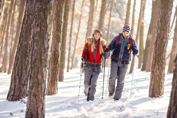 Femme et homme en hiver marchant avec des bâtons en bois — Photo