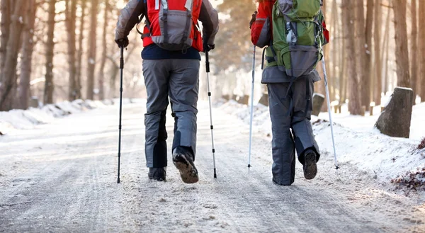 Vista posteriore degli escursionisti nella foresta in inverno — Foto Stock