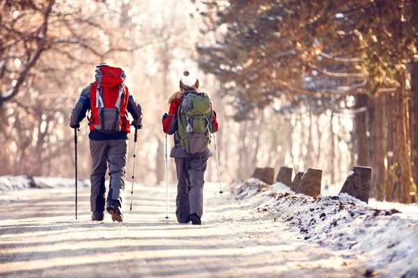 Escursionisti in escursioni invernali, vista posteriore — Foto Stock