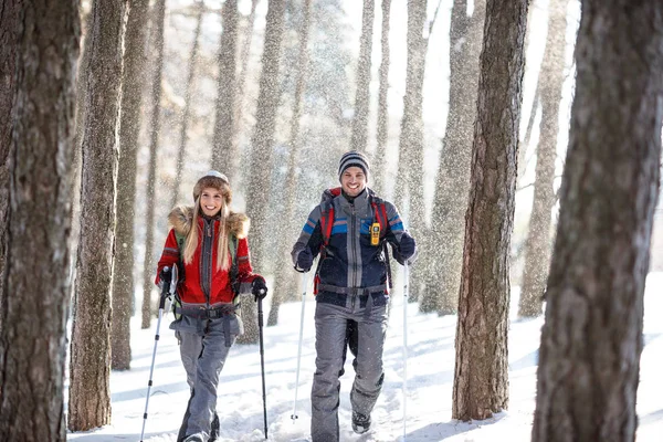 Escursionisti su escursioni invernali innevate in montagna — Foto Stock