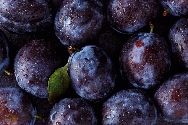 Gros plan de prune sur fond sombre — Photo