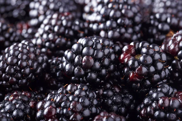 黑莓鲜果背景。关闭 — 图库照片