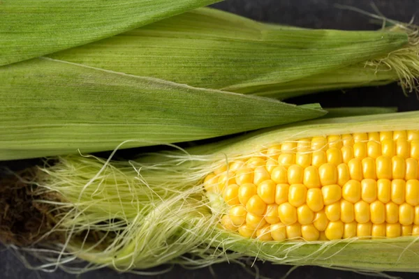 Freshly harvested yellow sweet corn close up — Stock Photo, Image