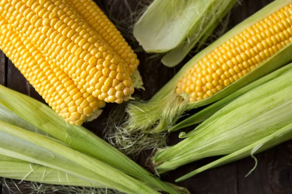 Freshly organic harvested corn — Stock Photo, Image