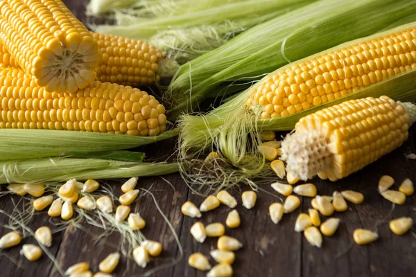 Background healthy harvested corn — Stock Photo, Image