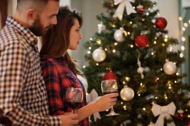 Çift Xmas evde kutlama birlikte