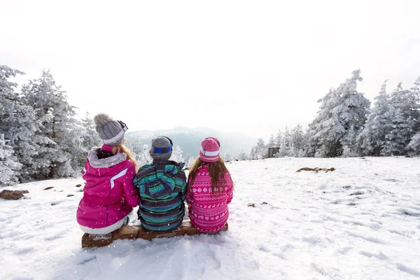 Barn som sitter på ski terräng, bakifrån — Stockfoto