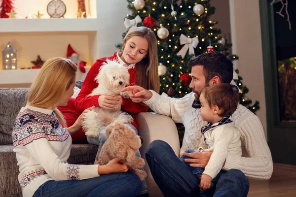 Glückliche Familie genießt das Spielen mit neuen Welpen zu Weihnachten — Stockfoto