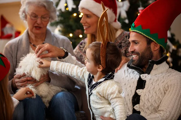 Família de Natal acaricia cão pequeno — Fotografia de Stock