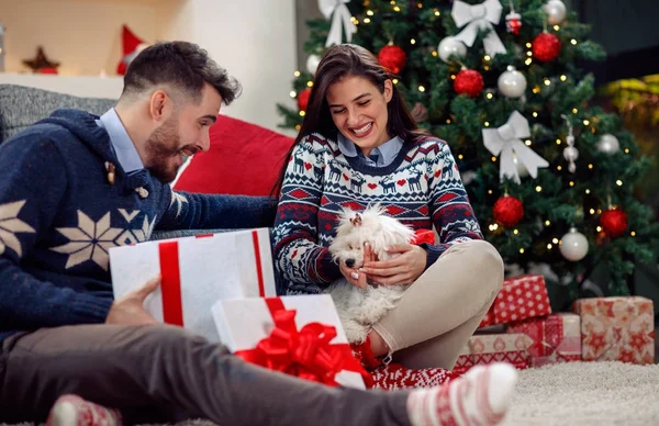 Weihnachtszeit - Welpe zu Weihnachten — Stockfoto