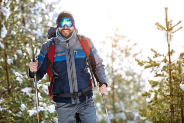 Doğada çubuklarla hiking uzun yürüyüşe çıkan kimse