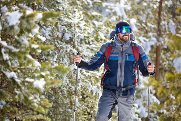 木材を通してハイキング スポーツマン — ストック写真