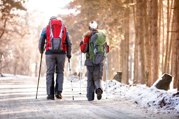 Vista posteriore degli alpinisti mentre camminano — Foto Stock