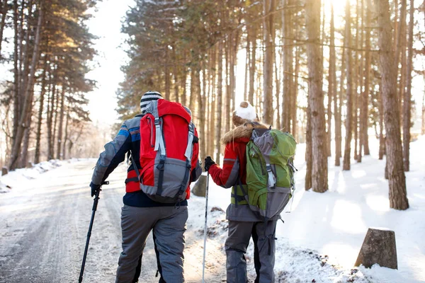 Esquiadores masculinos y femeninos caminando por el bosque, vista trasera —  Fotos de Stock