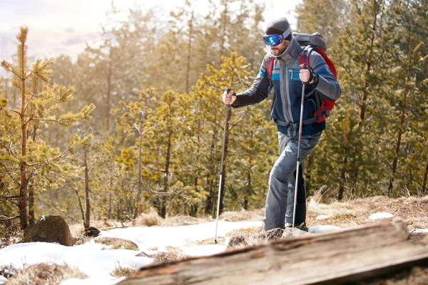 Active hiker in forest mountains — Stock Photo, Image