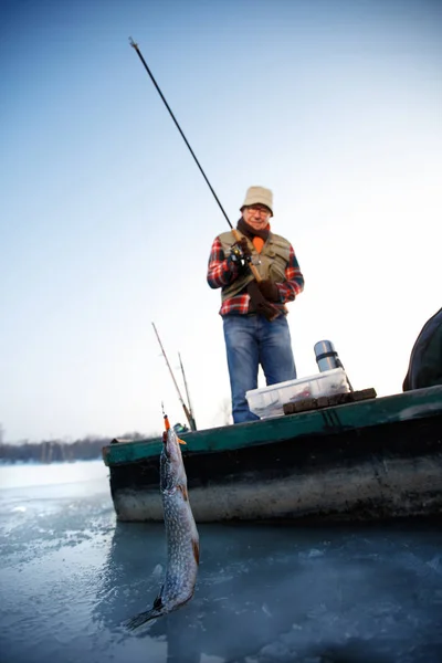 Fisherman draws out trout from frost lake on winter — Stock Photo, Image