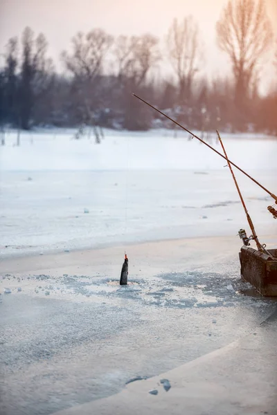 Pesca no gelo - Peixe cru, pesca de inverno, lago congelado — Fotografia de Stock