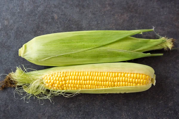 Freshly harvested yellow sweet corn — Stock Photo, Image