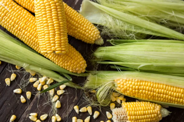 Freshly healthy harvested corn — Stock Photo, Image