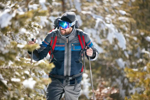 Hiker with backpack trekking in mountains. Cold weather, snow on — Stock Photo, Image