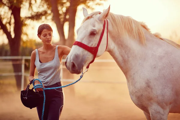 Női lovas és a gyönyörű ló a nyári napon a gazdaságban. — Stock Fotó