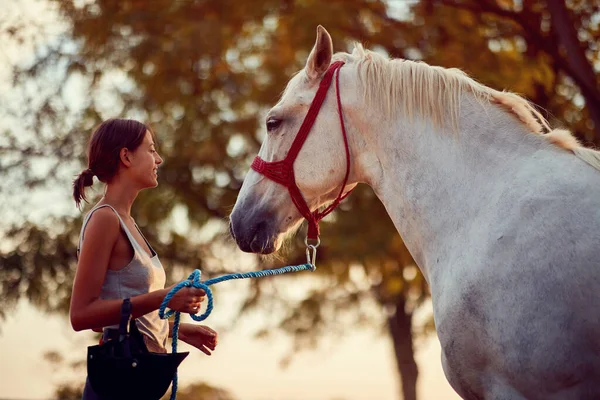 Meisjesrijder en haar prachtige paard op zomerdag op de boerderij. — Stockfoto