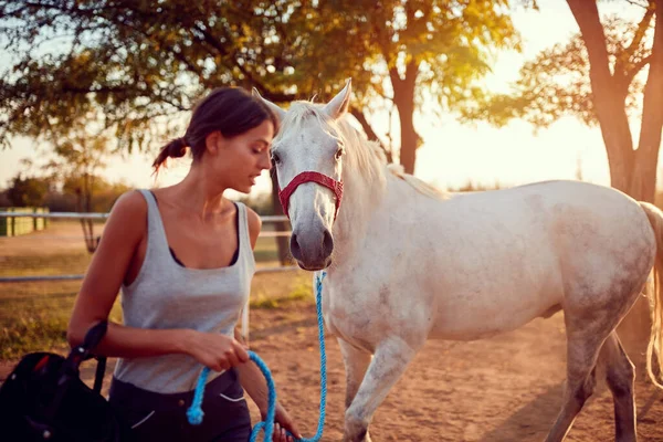 Bellissimo cavallo al giorno d'estate in fattoria con cavaliere donna   . — Foto Stock