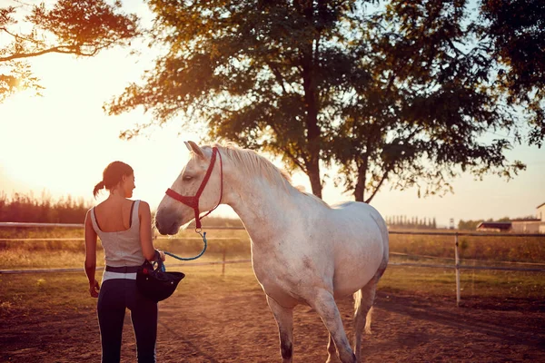 Όμορφο άλογο την ημέρα του καλοκαιριού στο αγρόκτημα με κορίτσι αναβάτη  . — Φωτογραφία Αρχείου