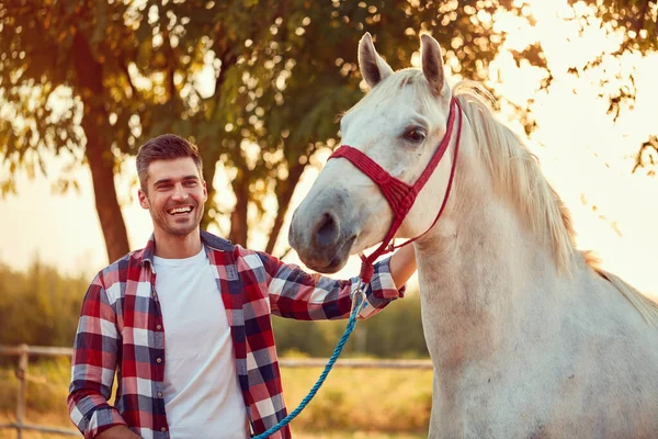 Красивая лошадь в летний день на ферме с человеком всадник   . — стоковое фото