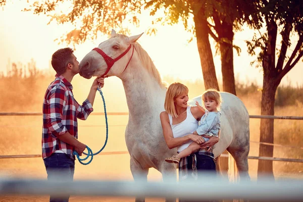 Familjen har roligt med en vacker häst. — Stockfoto