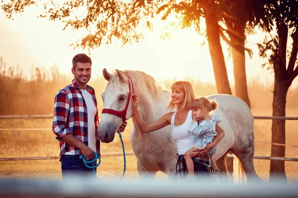 Όμορφο άλογο την καλοκαιρινή μέρα στο αγρόκτημα με την οικογένεια — Φωτογραφία Αρχείου