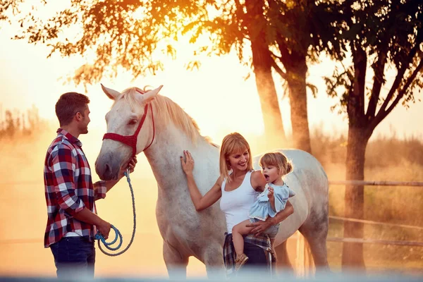 Сім'я в літній день на фермі з красивим конем — стокове фото