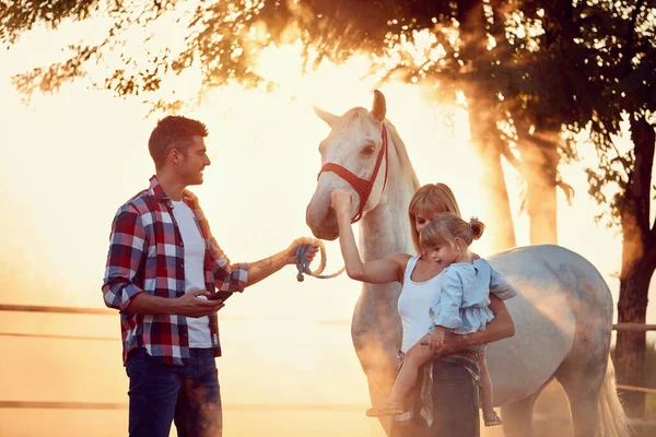 A család szórakozik egy gyönyörű lóval vidéken. . — Stock Fotó