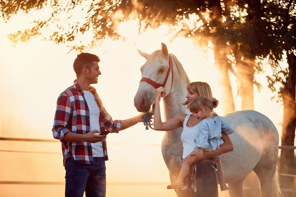 Familia sonriente divertirse con un hermoso caballo en el campo . —  Fotos de Stock