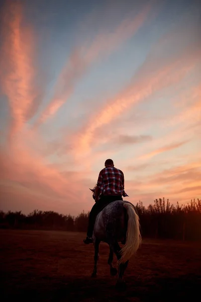 Hombre a caballo en la puesta del sol. Hombre y caballo . —  Fotos de Stock