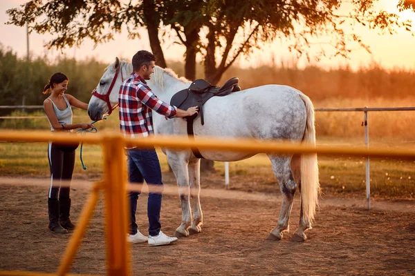 Donna cavaliere ottenere cavallo pronto per la corsa al tramonto — Foto Stock