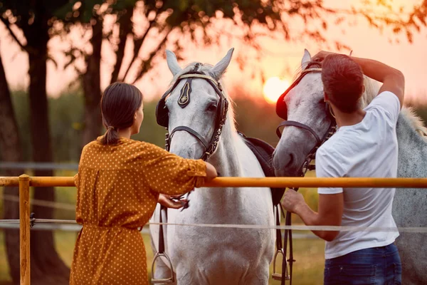 Lány és férfi lovukkal este naplementekor — Stock Fotó