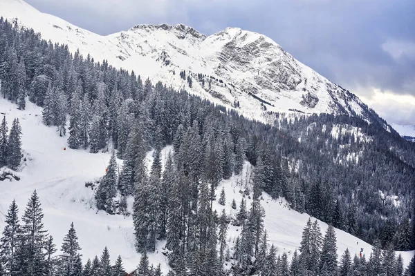 Winter white forest with snow,snow-capped mountain peaks.Wide Pa — Stock Photo, Image