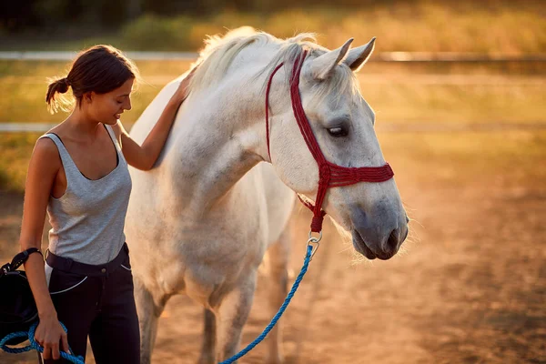 A lovasnak egészséges kapcsolata van a lovával. — Stock Fotó