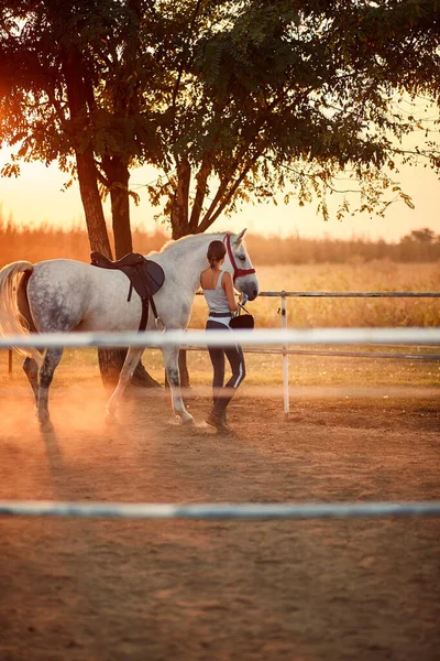Mujer joven y su caballo — Foto de Stock