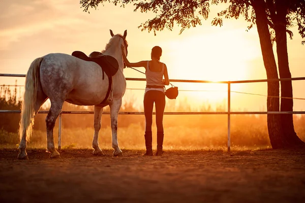 Female horse rider in a company of her horse — Stock Photo, Image