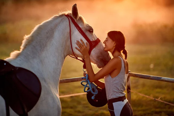 Естественная связь между молодой женщиной и ее лошадью — стоковое фото