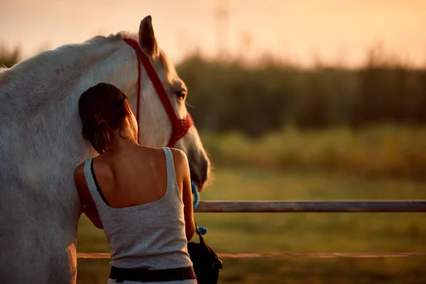 Końskie ludzkie chwile, relacje z końmi. — Zdjęcie stockowe