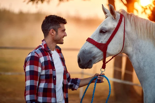 Счастливый человек, соединяющийся с лошадью — стоковое фото