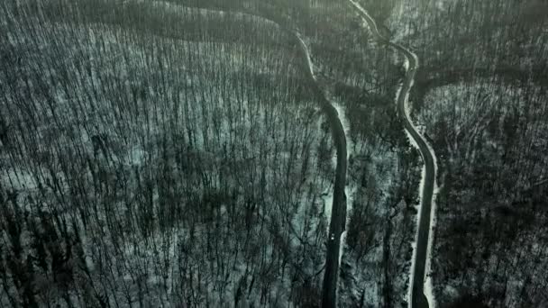 Bilkörning Vintern Landsväg Snöig Skog Antenn Utsikt Från Drönare — Stockvideo