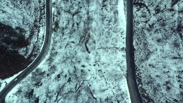 Car Driving Winter Country Road Snowy Forest Aerial View Drone — Stock Video