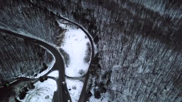 Autem Zimní Venkovské Silnici Zasněženém Lese Letecký Pohled Dronu — Stock video
