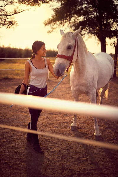 Kobieta uśmiechnięta do białego konia. zabawa na wsi, złota godzina — Zdjęcie stockowe