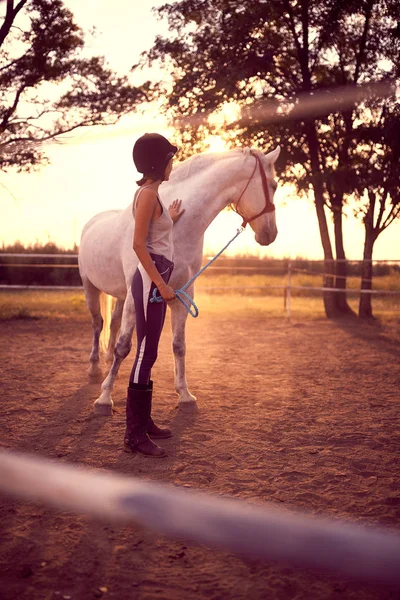 Mulher a acariciar um cavalo ao pôr-do-sol. diversão no campo, dourado — Fotografia de Stock